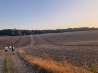 Hungerford Harey 8 Miler